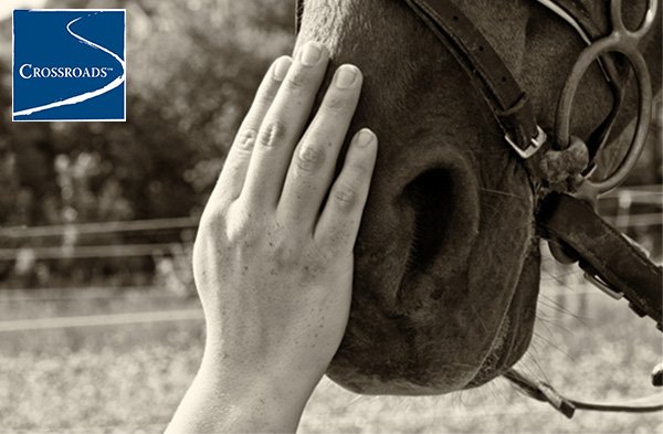 Equine-Therapy-Finding-Hope-and-Healing-in-Horses hand on horses snoot at Equine Therapy