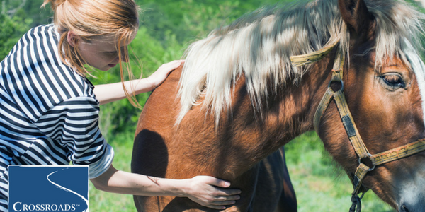 How Equine Therapy Helps in Drug Abuse Recovery.CRBlog4 woman petting horse for equine assisted therapy