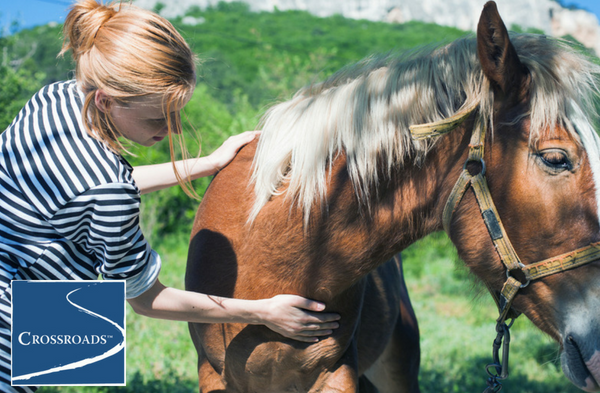 How Equine Therapy Helps in Drug Abuse Recovery.CRBlog4 woman petting horse for equine assisted therapy
